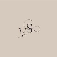 line and bold mix concept VS wedding serif monogram logo letter beautiful initial vector