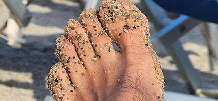 man's foot dirty with sand on the beach on the Ligurian coast on a hot summer day in 2024 in Spotorno photo