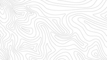 Topographic map background. Topographic contour map background. Contour background. Abstract wavy lines background. Background with topographic contours. vector