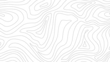 Topographic map background. Topographic contour map background. Contour background. Abstract wavy lines background. Background with topographic contours. vector