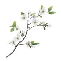 Branch of Flowering Tree with White Flowers and Green Leaves on Transparent background AI-Generative png