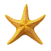 Vivid Yellow Starfish with Five Arms on Transparent background AI-Generative png