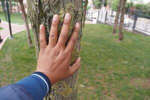 Establish a connection with nature through gently touching the bark of a tree in a peaceful park photo