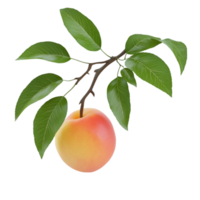 Peach on Branch with Leaves on Transparent background AI-Generative png