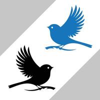 Black and blue birds template design vector