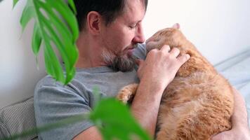 Bearded man hugging and stroking ginger cat close-up. Selective focus on cat's muzzle. video