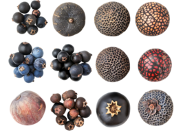 Black and Blue Berries with Transparent Background, Colorful Fruit, Natural Textures, Close-up Image, Isolated Objects,  Botanical Photography png