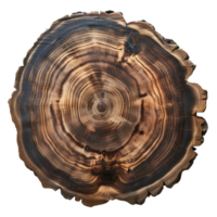 Tree Rings Showcase Time's Passage, a Circular Slice with Transparent Background png
