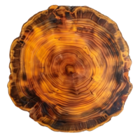 Tree Rings, a Stunning Display of Nature's Growth Pattern with a Transparent Background png
