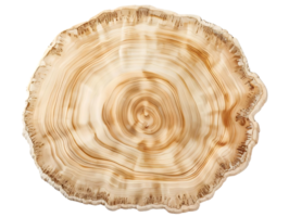 Wooden Tree Slice with a Transparent Background, Perfect for Design Projects and Crafts png