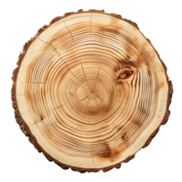 Tree Trunk Cross Section with Visible Growth Rings, Isolated on Transparent Background png