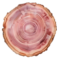Close-up View of a Tree Trunk with Transparent Background, Revealing Intricate Grain Patterns and a Center of Pink, Brown, and White Colors png
