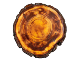 Tree Trunk Cross-Section with Visible Rings on a Transparent Background png