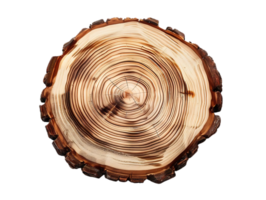 Tree Trunk Cross Section with Visible Rings on a Transparent Background png