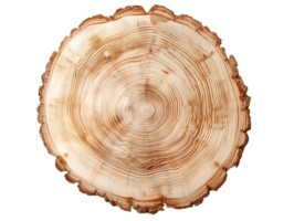 Tree Ring Cross Section with a Transparent Background, Natural Wood Texture, Circular Grain Pattern, Organic Design, Rustic Aesthetic, Isolated Wood, Timber Texture, Wooden Circle, Nature Photography, Nature Background, Wood Cross-Section, Tree Stump Text png