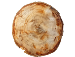 Tree Trunk Cross-Section with Visible Growth Rings, Showing Nature's Patterns, Isolated on Transparent Background png