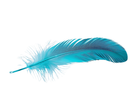 un soltero azul pluma con un transparente fondo, aislado y elegante png