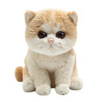 A single cat toy front view isolated on transparent background png