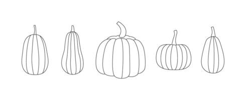 Outline fall pumpkins set. Autumn vegetable harvest. Line art, contour, sketch. Black and white. Editable stroke. Coloring page. isolated on white. vector