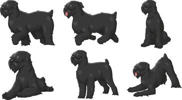 Black russian terrier dog in various poses. Each image on a separate layer. vector