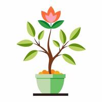 free Lily tree in pot vector