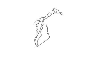 Self drawing animation of single line draw whole healthy organic headed cabbage for farm or field logo identity. Fresh biennial plant concept for vegetable icon. Continuous line. Full length animated video