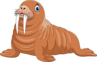 Cartoon funny walrus on white background vector