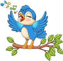 Cute bird singing on a tree branch vector