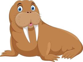 Cartoon funny walrus on white background vector