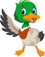 Cartoon happy duck on white background vector