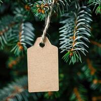 Blank brown paper gift tag hanging on a pine tree branch. photo