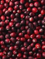 Red and juicy cranberries are a great source of vitamin C and fiber. They are also a good source of antioxidants, which can help protect your cells from damage. photo