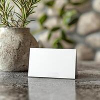 A business card mockup photo