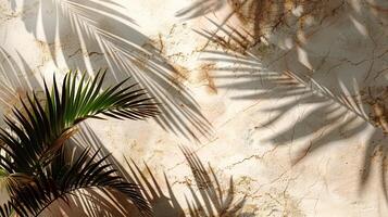 Palm tree leaves casting shadows on a marble wall. photo