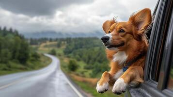 Dog with its head out the window and ears flapping in the wind on a scenic road, road trip with dog, carefree and fun photo
