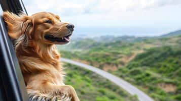 Dog with its head out the window and ears flapping in the wind on a scenic road, road trip with dog, carefree and fun photo