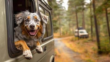 Dog leaning out of a camper van window with a happy expression, road trip with dog, excitement and freedom photo