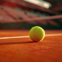 A close up of a tennis ball on a clay court with the net and stadium in the background. photo