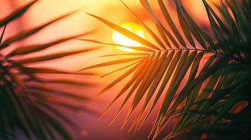 The setting sun casts long shadows over the palm trees on the beach. photo