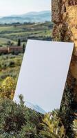 A close up center shot of a blank white 23 A4 piece of art paper leaning up against a building in the greenish fields of Tuscany photo