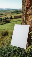 A close up center shot of a blank white 23 A4 piece of art paper leaning up against a building in the greenish fields of Tuscany photo
