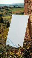 A close up center shot of a blank white 23 A4 piece of art paper leaning up against a building in the greenish fields of Tuscany photo