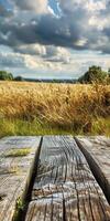 A wooden table in a wheat field. photo