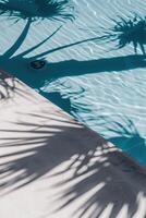 Palm tree shadows on the poolside photo