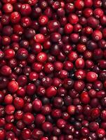 Fresh cranberries scattered across a table. photo