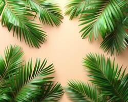 Green palm leaves on a beige background photo