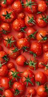 A close-up image of a bunch of fresh, ripe tomatoes with water drops on their surface. photo