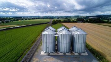 Three large metal silos sit in a rural field. photo