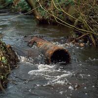 large, rusty pipe that has been abandoned and is now overgrown with moss and other plants photo