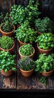 A variety of herbs and leafy greens in pots arranged around a weathered wooden surface, vibrant foliage contrasting with the rich, dark wood, fresh and inviting photo